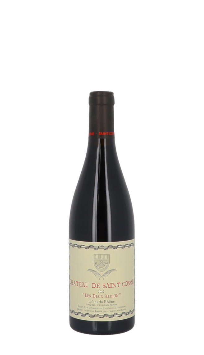 Château de Saint Cosme