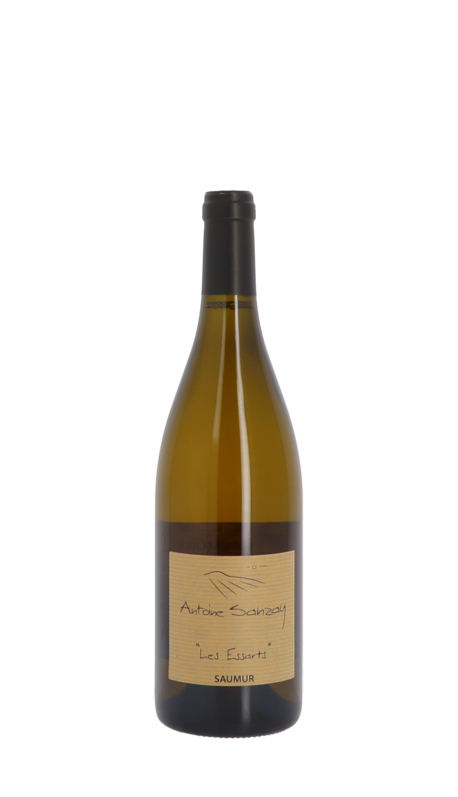 Domaine Antoine Sanzay Domaine Antoine Sanzay