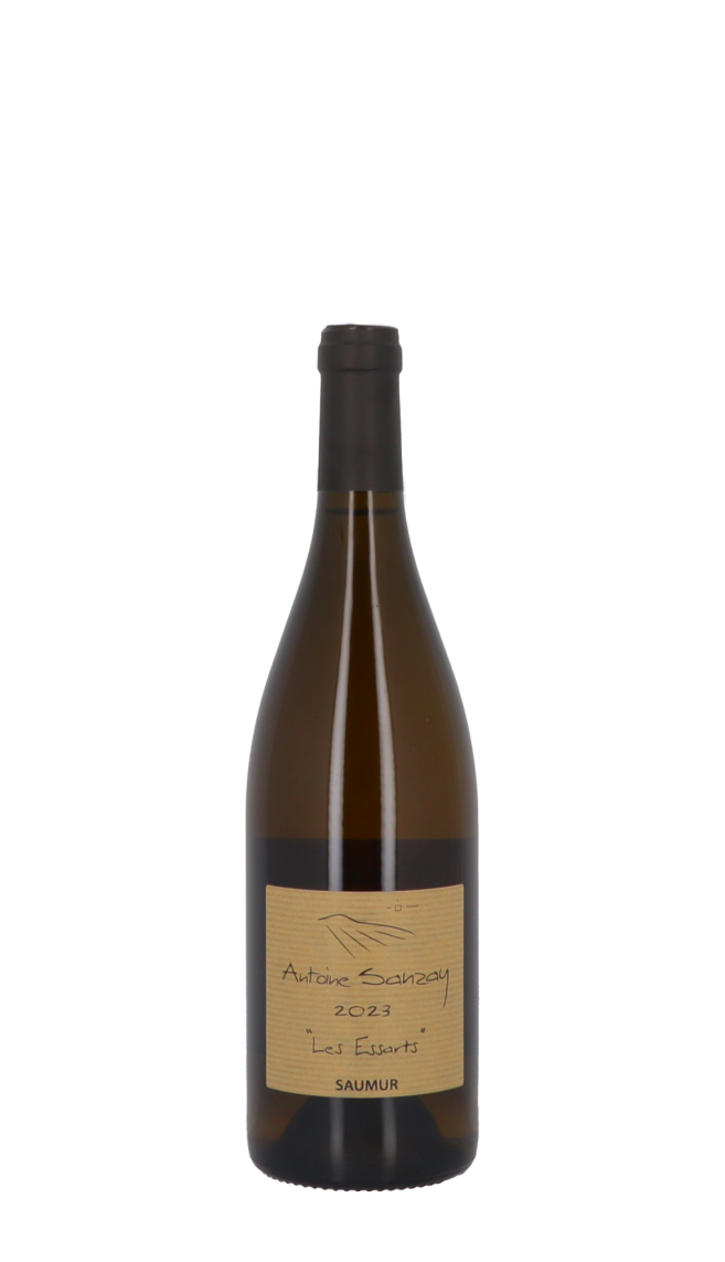 Domaine Antoine Sanzay