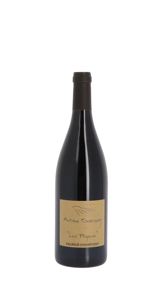 Domaine Antoine Sanzay Domaine Antoine Sanzay