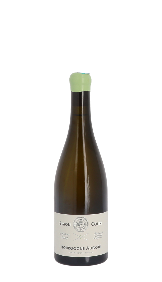 Simon Colin 2023 Blanc