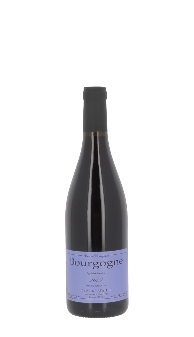 Domaine Sylvain Pataille 2023 Rouge