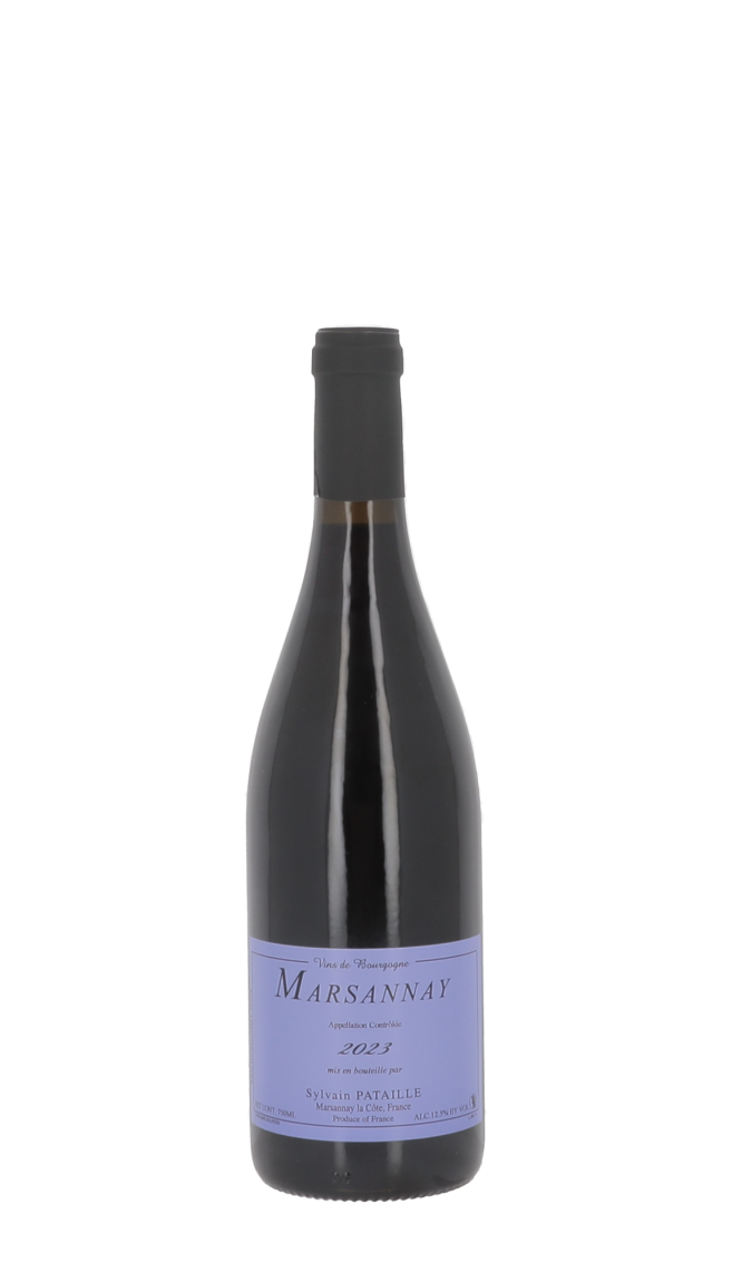 Domaine Sylvain Pataille 2023 Rouge