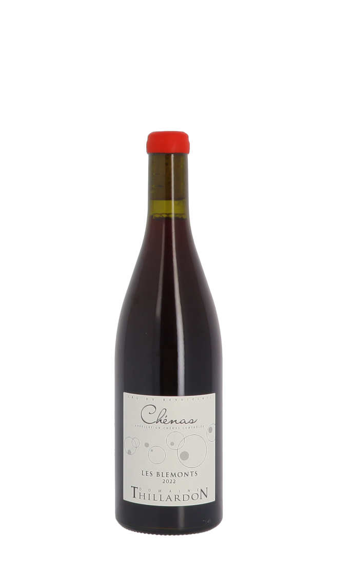 Domaine Thillardon