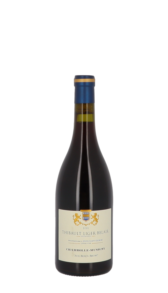 Thibault Liger-Belair