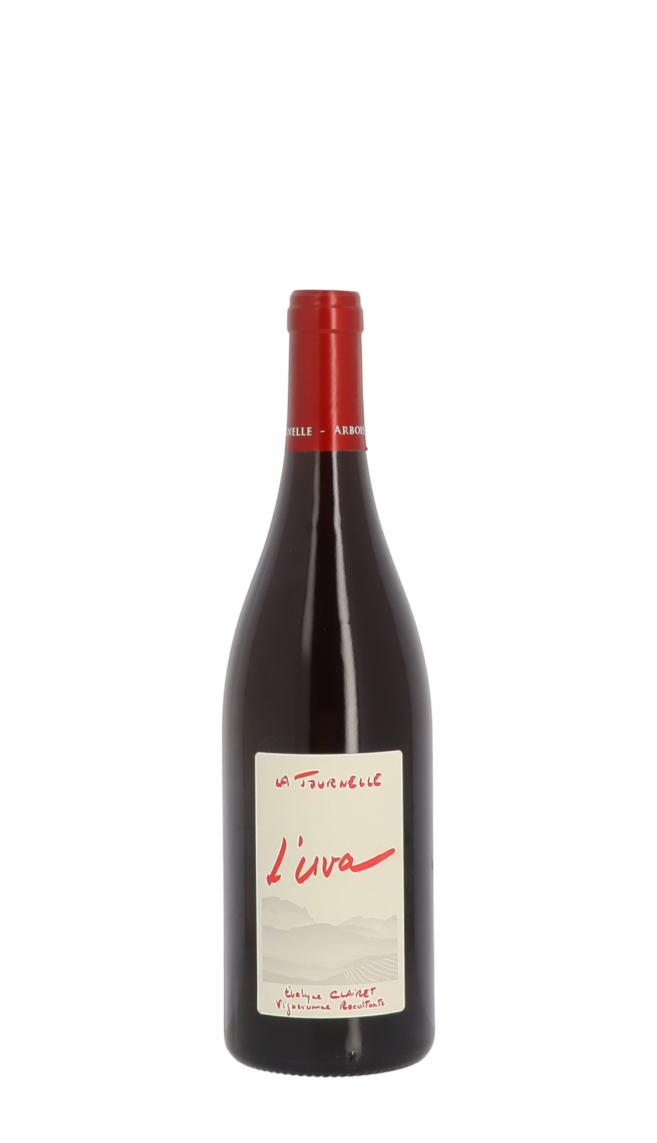 Domaine de la Tournelle Domaine de la Tournelle