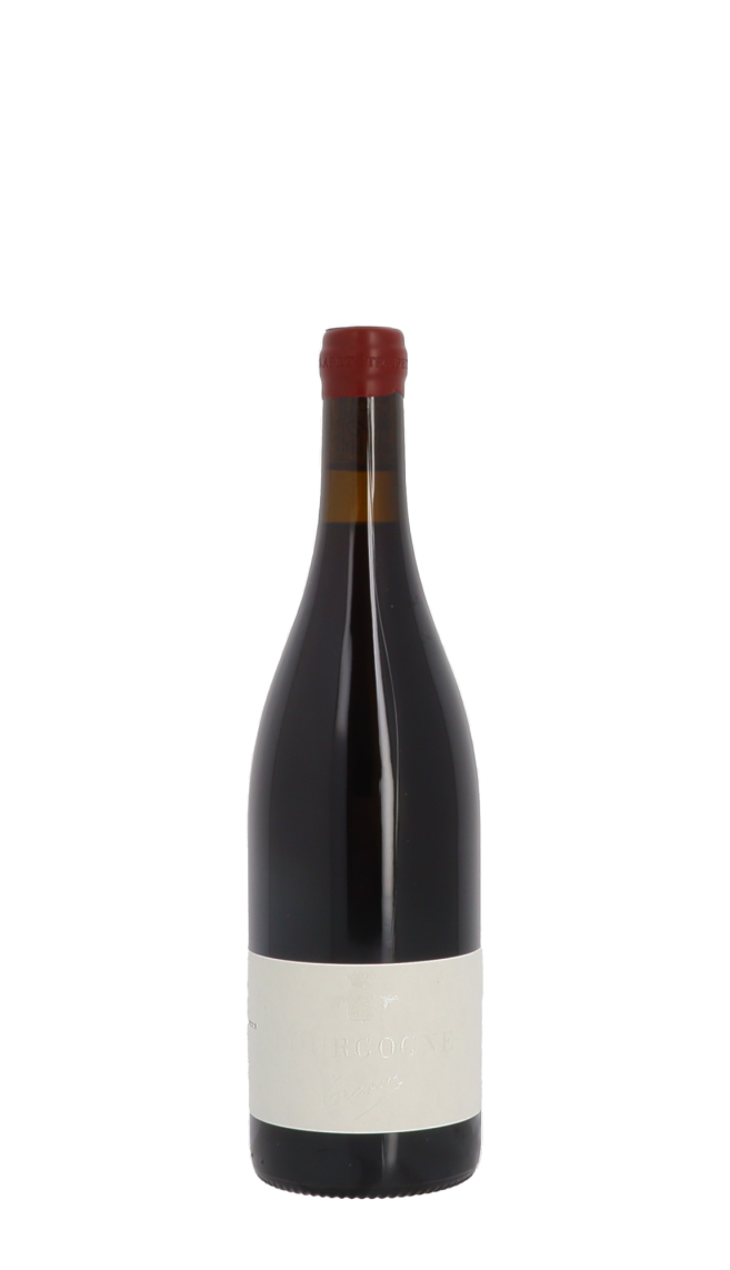 Domaine Trapet Père & Fils 2023 Rouge Domaine Trapet Père & Fils 2023 Rouge