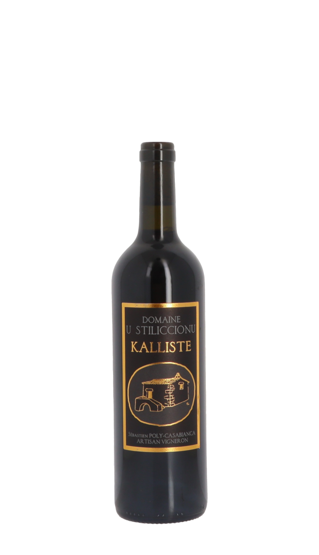 Domaine U Stiliccionu