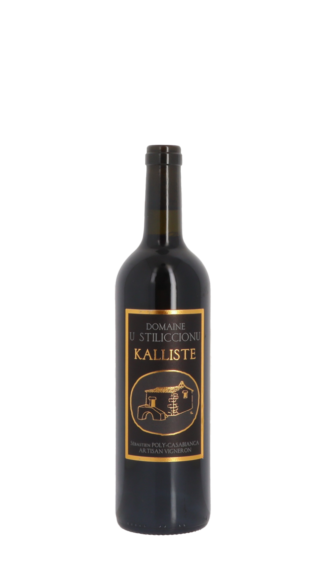 Domaine U Stiliccionu