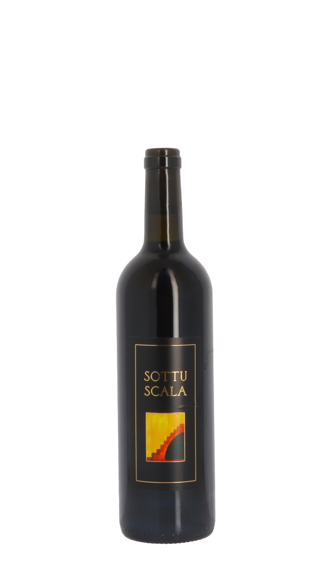 Domaine U Stiliccionu