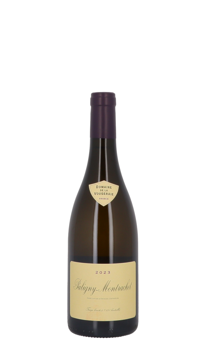 Domaine de la Vougeraie 2023 Blanc