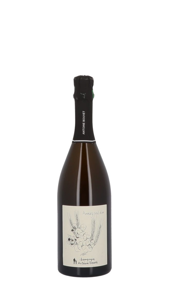 Champagne Antoine Bouvet