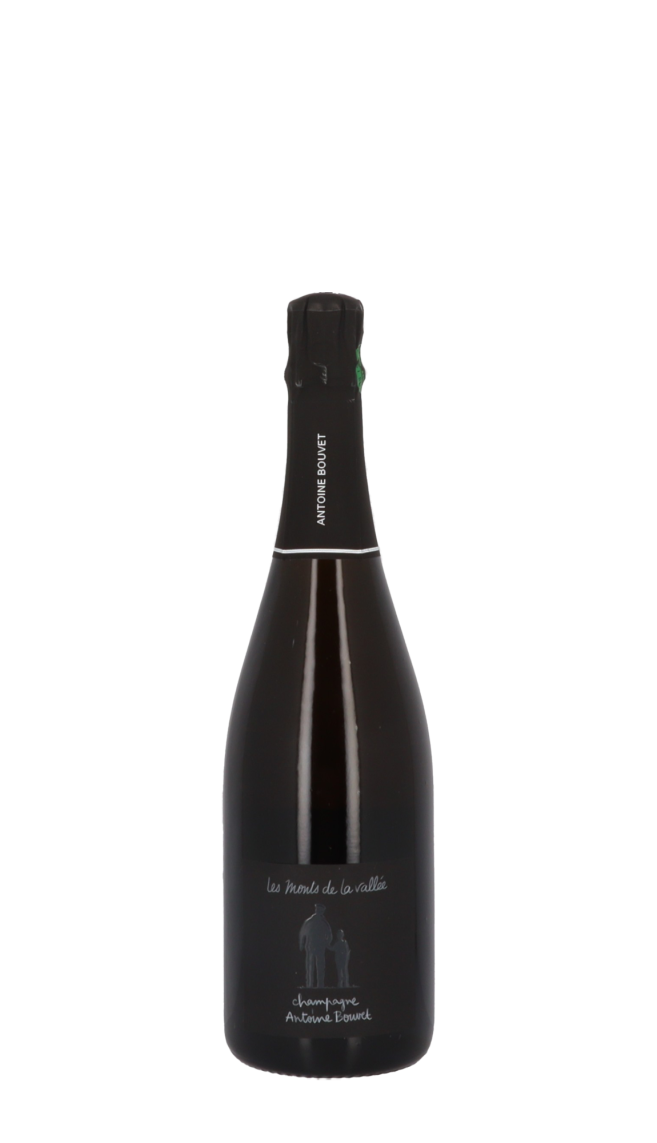Champagne Antoine Bouvet