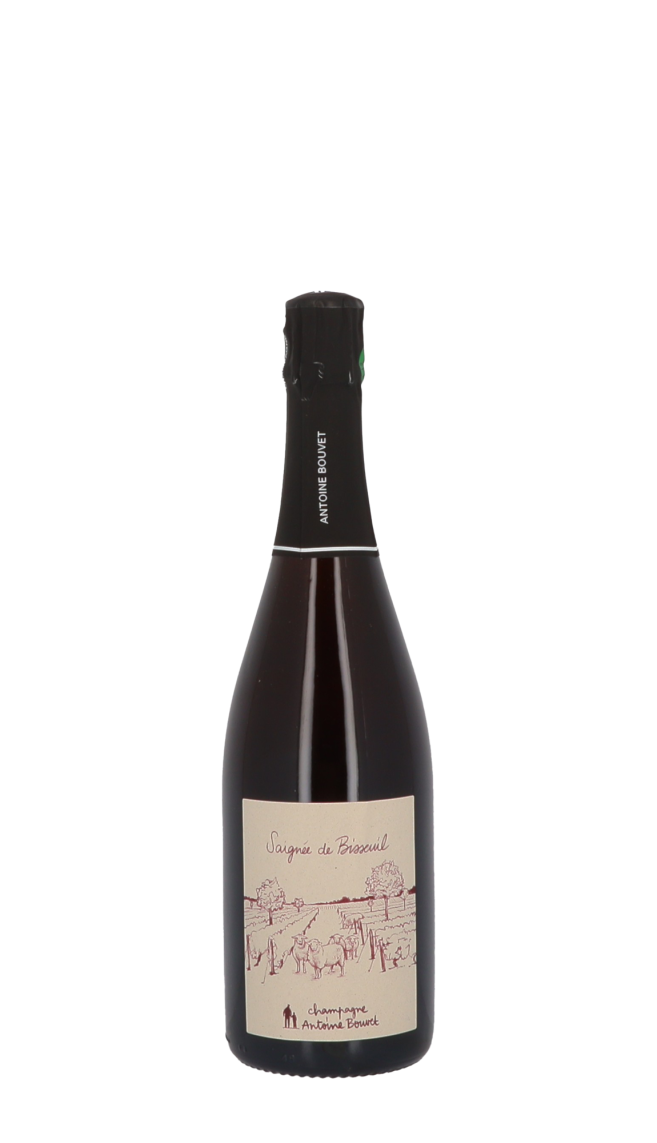 Champagne Antoine Bouvet