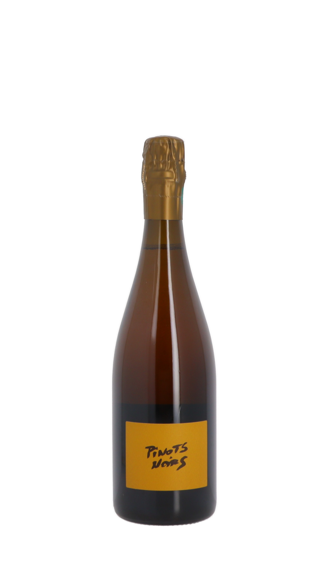 Champagne Brice Allouchery