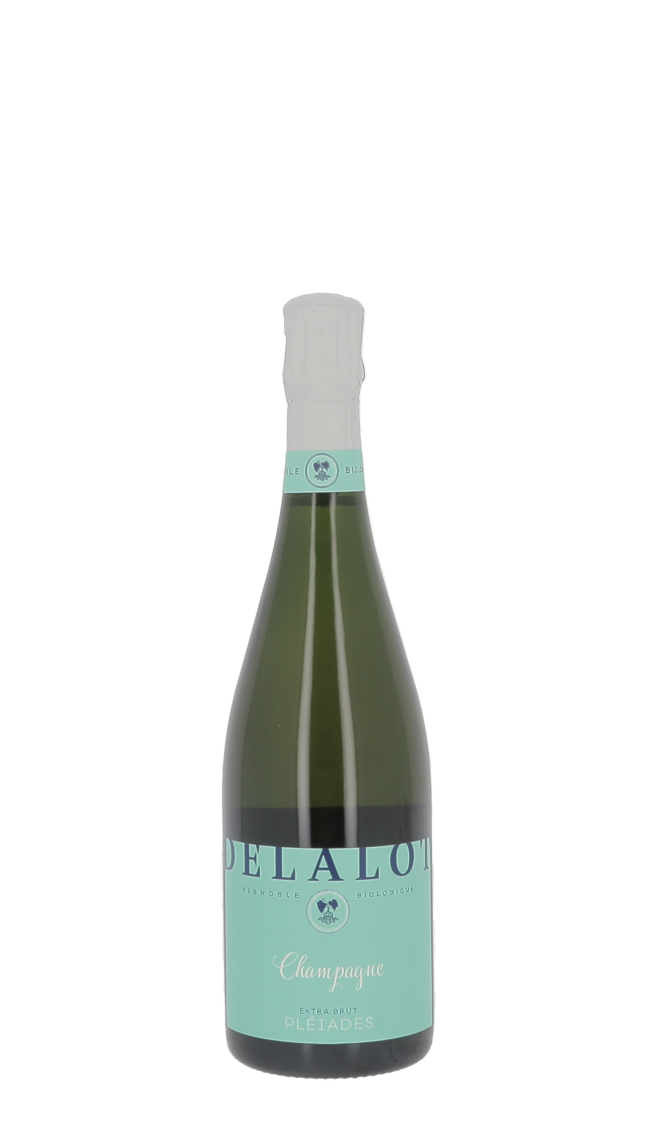 Champagne Jérôme Lefevre Blanc