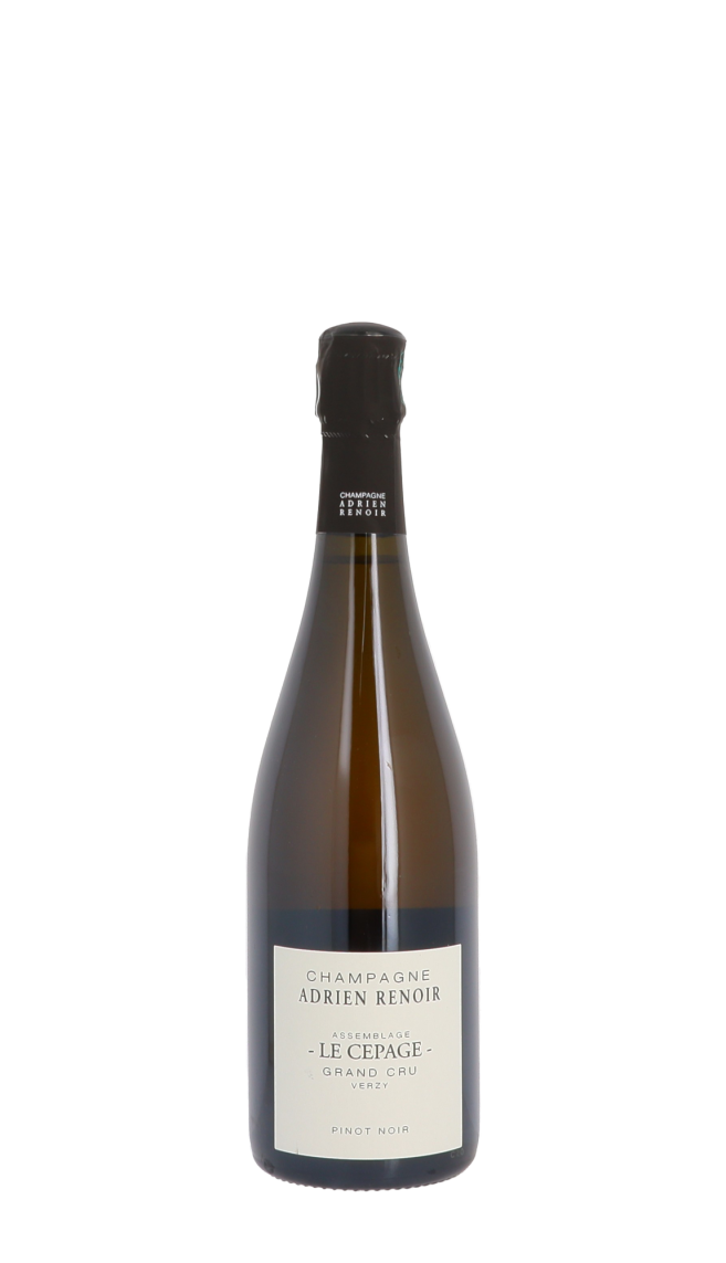 Champagne Adrien Renoir Champagne Adrien Renoir