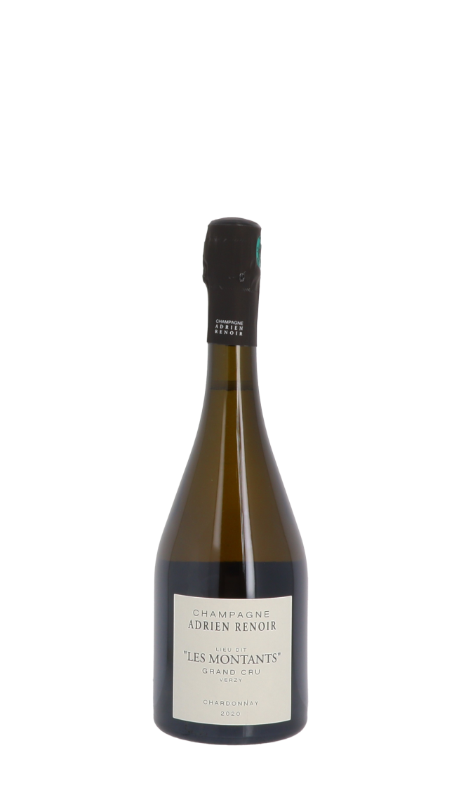 Champagne Adrien Renoir Champagne Adrien Renoir