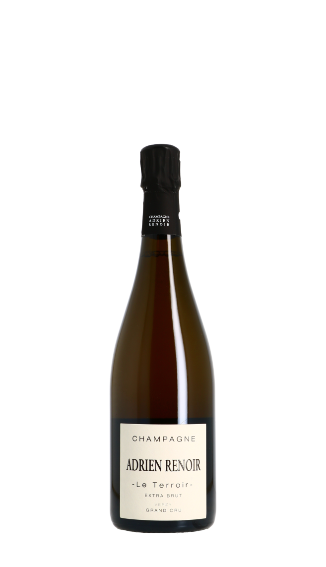 Champagne Adrien Renoir Champagne Adrien Renoir