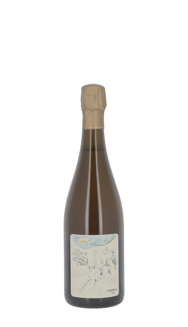 Champagne Thomas Perseval
