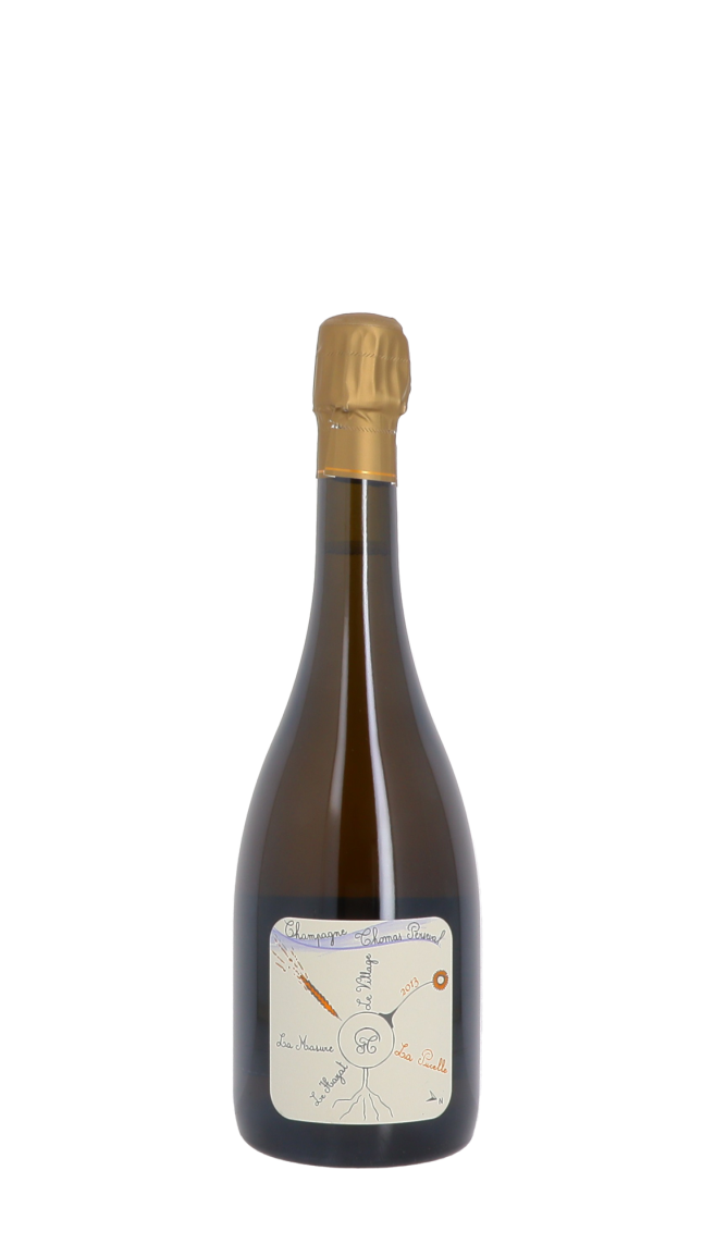 Champagne Thomas Perseval