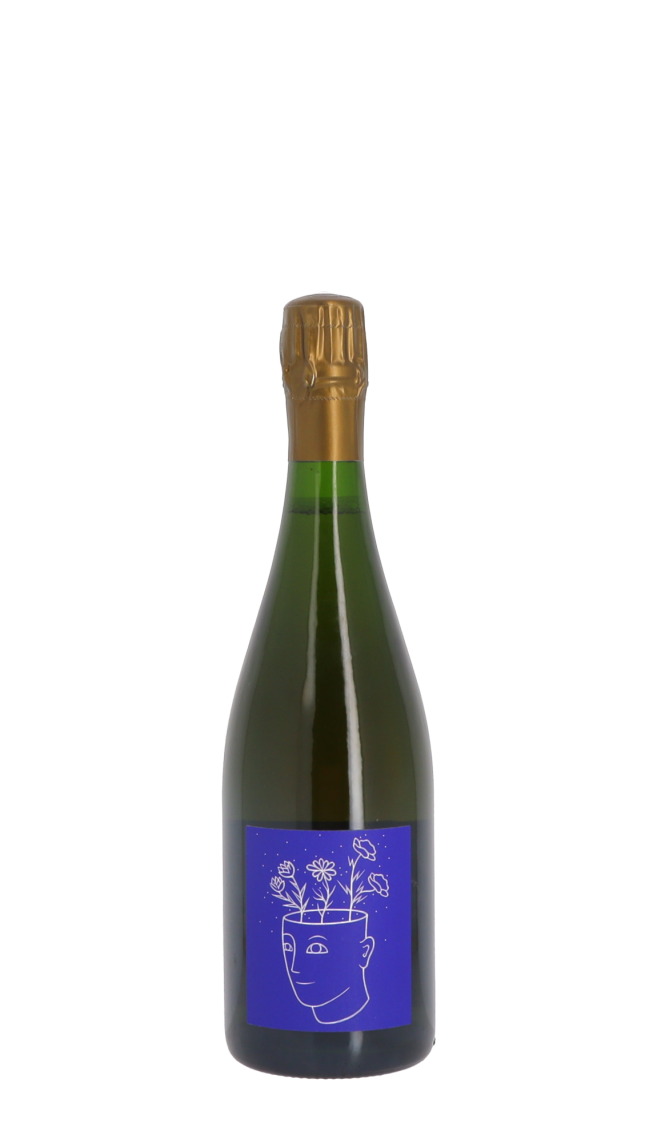 Stroebel Blc Blanc Stroebel Blc Blanc