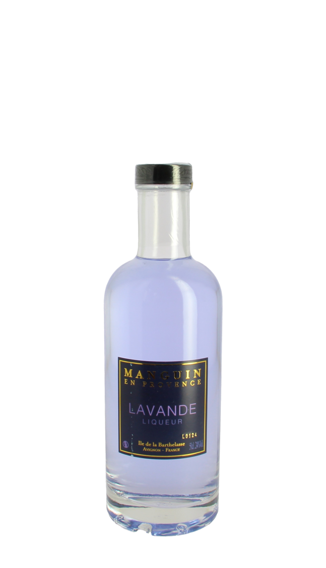 Manguin en Provence