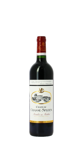 Château Chasse Spleen 2009 Rouge 75cl
