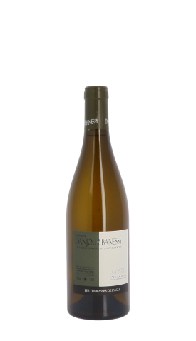 Domaine Danjou-Banessy, Coste 2022 Blanc 75cl