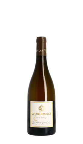 Les Vignes de Paradis, IGP Chardonnay 2019 Blanc 75cl