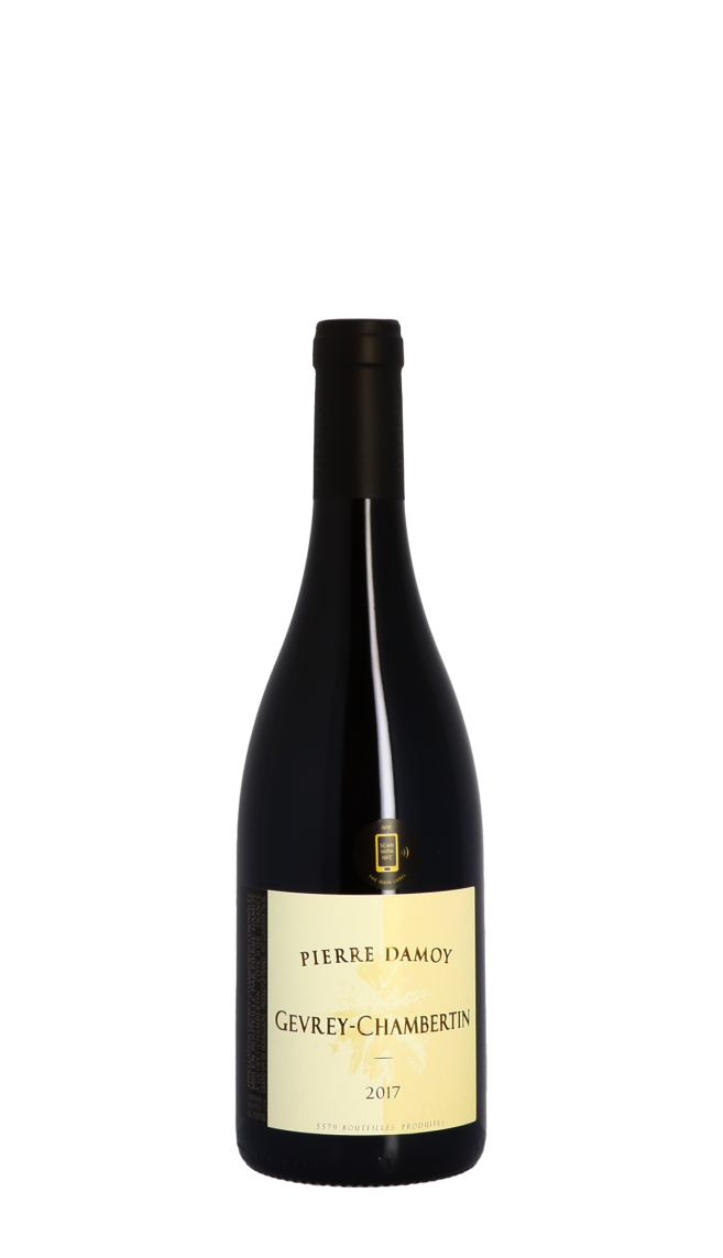 Domaine Pierre Damoy 2017 Rouge