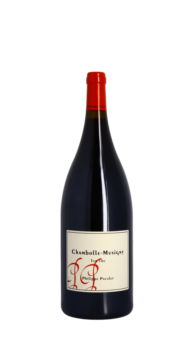 Domaine Philippe Pacalet 2016 Rouge