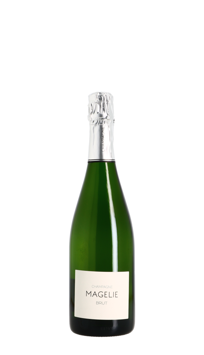 Champagne Bernard Gaucher