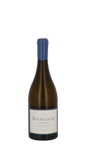 Domaine Arnaud Ente, Bourgogne 2022 Blanc 75cl
