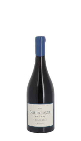 Domaine Arnaud Ente, Pinot Noir 2020 Rouge 75cl