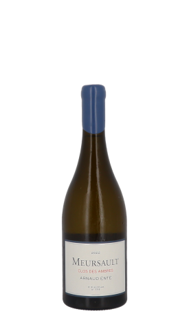 Domaine Arnaud Ente, Clos des Ambres 2022 Blanc 75cl