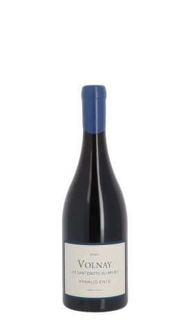 Domaine Arnaud Ente 2020 Blanc 75cl