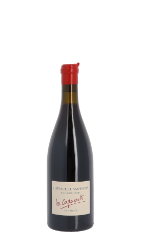 Brice Allouchery, les Caquerets 2020 Rouge 75cl