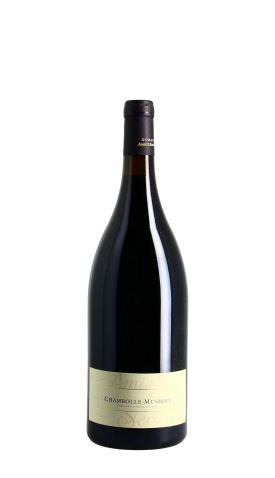 Domaine Amiot-Servelle 2022 Rouge Magnum