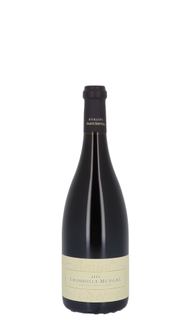 Domaine Amiot-Servelle 2023 Rouge 75cl