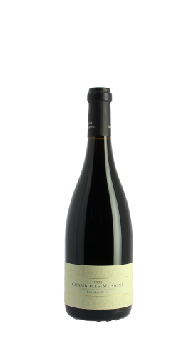 Domaine Amiot-Servelle, Les Bas-Doix 2021 Rouge 75cl