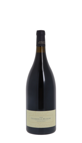 Domaine Amiot-Servelle, Les Bas-Doix 2022 Rouge Magnum