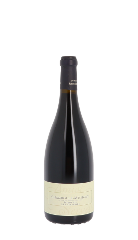Domaine Amiot-Servelle, Les Charmes 2022 Rouge 75cl