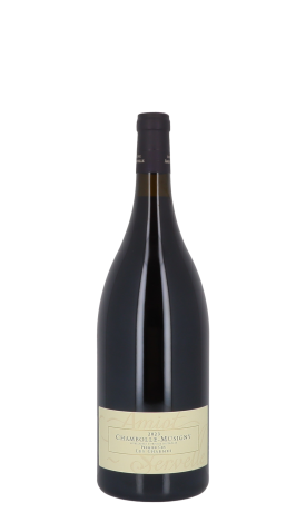 Domaine Amiot-Servelle, Les Charmes 2023 Rouge Magnum