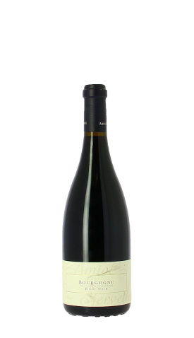 Domaine Amiot-Servelle 2021 Rouge 75cl