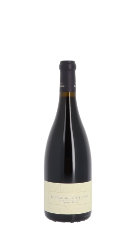 Domaine Amiot-Servelle 2022 Rouge 75cl