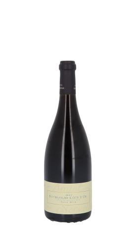 Domaine Amiot-Servelle 2023 Rouge 75cl