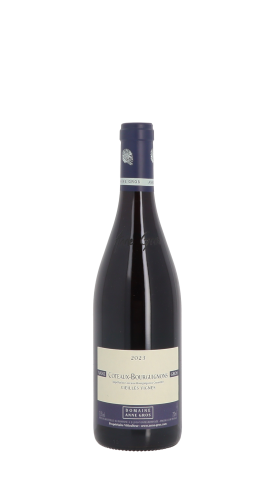 Domaine Anne Gros, Vieilles Vignes 2023 Rouge 75cl