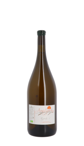 Aussigouins, Experto...R 2023 Blanc Magnum