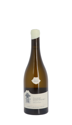 Domaine Jean-Claude Bachelet et Fils, Sous Le Puits blanc 2022 Blanc 75cl